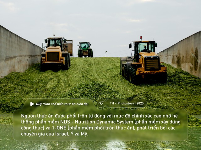 Bức tranh thiên nhiên ngút tầm mắt chỉ có ở nơi sản xuất sữa tươi sạch TH true MILK - Ảnh 7