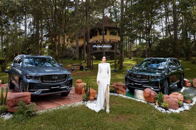 Vì sao Geely bắt tay Tasco làm đối tác chiến lược khi vào thị trường Việt? - Ảnh 3