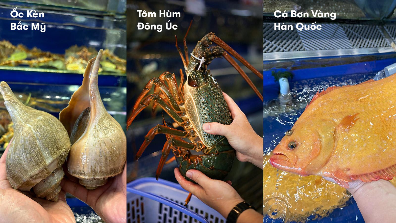 Hải Sản Hoàng Gia với khát vọng vươn tầm Đông Nam Á - Ảnh 3