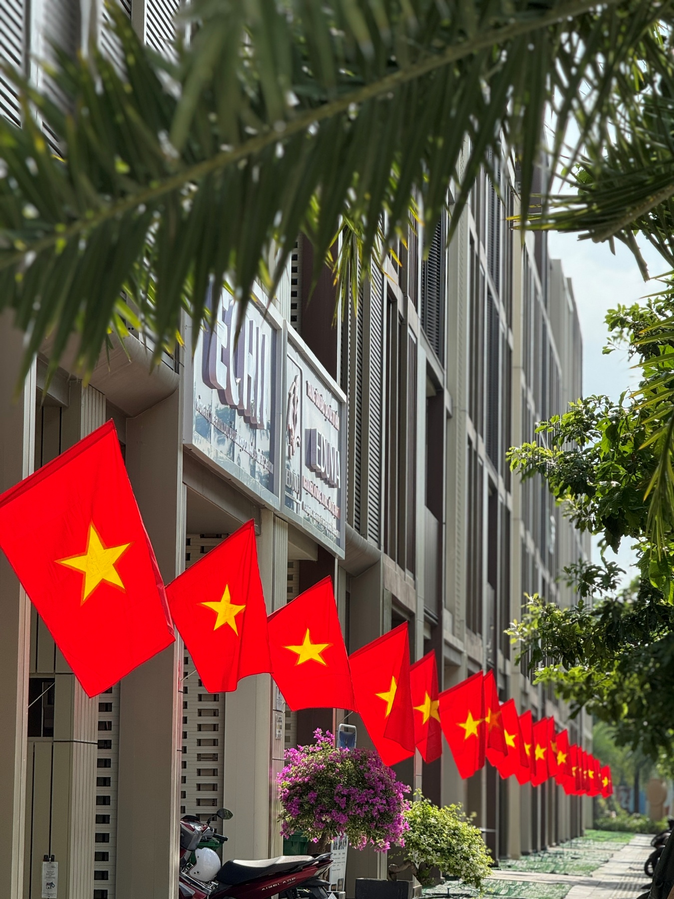 Cư dân Masterise Homes nhận quà yêu nước chung tay phủ đỏ Việt Nam - Ảnh 7