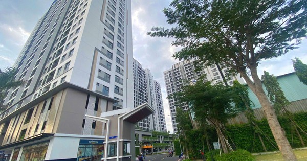 Giấc mơ an cư của người trẻ: chặng đường không dễ, nhưng có lối đi