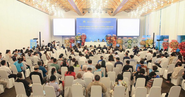 HPX hoán đổi cổ phiếu HQC - Động thái nhằm thu hồi đủ nợ