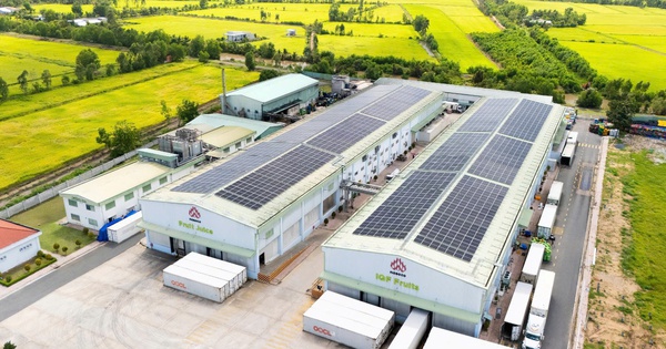 Doanh thu – lợi nhuận kỷ lục, Nafoods khởi công xây dựng NASOCO giai đoạn 2