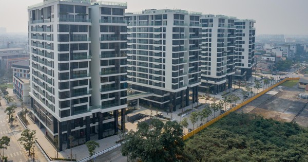 Livestream Sunshine Group: Căn hộ cao cấp chốt giá rẻ hơn 1,5 tỷ, khán giả trúng 200 triệu