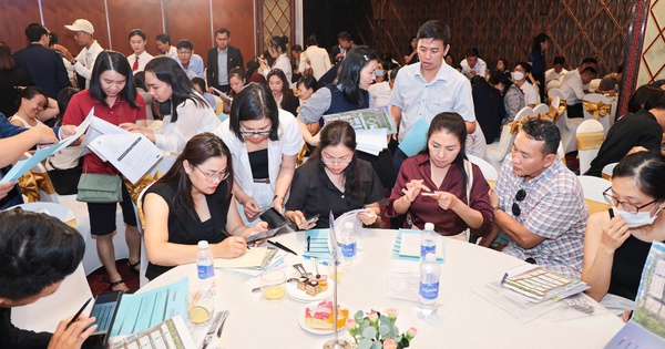 Hơn 90% giỏ hàng được công bố có chủ, The 826 EC khẳng định sức hút