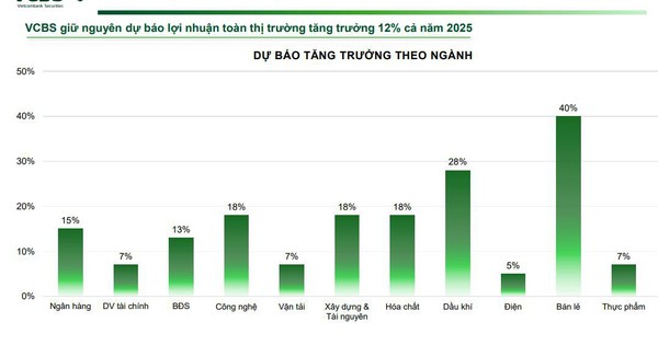 Nhìn lại dự báo VN-Index 2025: VCBS nổi bật với kịch bản sát thực tế