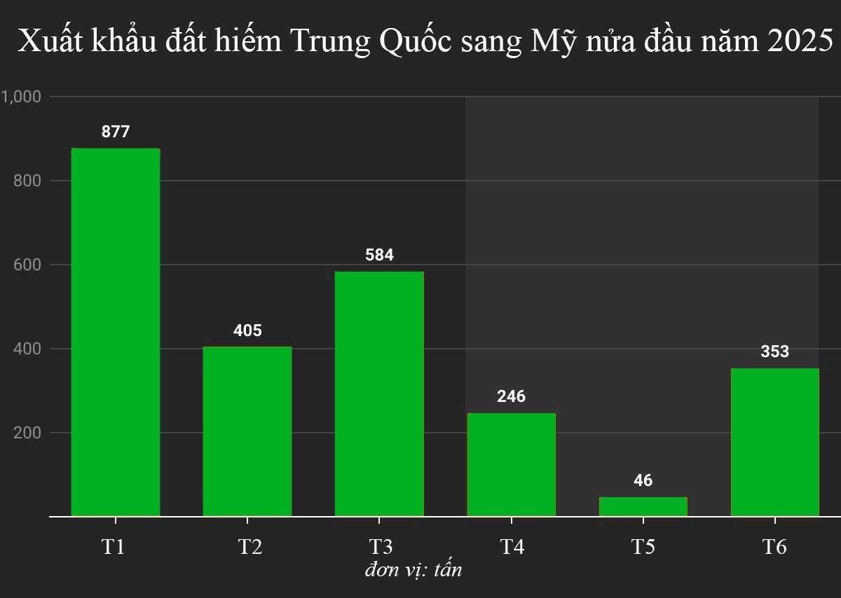 Mỹ và phương Tây ra sức gom mặt hàng chiến lược để dự trữ, Trung Quốc ‘nóng mắt’, lập tức đưa ra cảnh báo - Ảnh 2