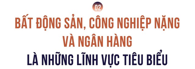 Công bố 100 doanh nghiệp tư nhân nộp ngân sách lớn nhất Việt Nam: Tổng nộp 244.400 tỷ đồng, 48 đơn vị nộp trên nghìn tỷ - Ảnh 5