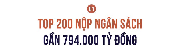 Công bố 200 doanh nghiệp nộp ngân sách lớn nhất Việt Nam: Tổng nộp 794.000 tỷ đồng, Vingroup thu hẹp khoảng cách với vị trí số 1 của PetroVietnam - Ảnh 2