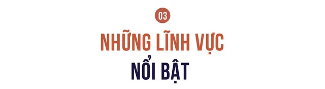 Công bố 200 doanh nghiệp nộp ngân sách lớn nhất Việt Nam: Tổng nộp 794.000 tỷ đồng, Vingroup thu hẹp khoảng cách với vị trí số 1 của PetroVietnam - Ảnh 6