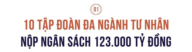Công bố 10 tập đoàn đa ngành tư nhân nộp ngân sách lớn nhất Việt Nam: 9 DN có mảng bất động sản, 6 DN tham gia ngành năng lượng - Ảnh 2