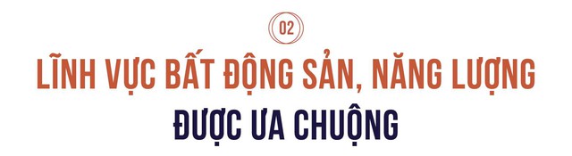 Công bố 10 tập đoàn đa ngành tư nhân nộp ngân sách lớn nhất Việt Nam: 9 DN có mảng bất động sản, 6 DN tham gia ngành năng lượng - Ảnh 3