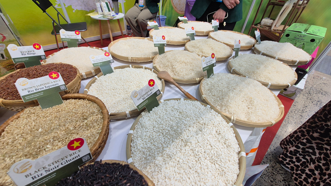 Lại lo đầu ra cho gạo - Ảnh 1