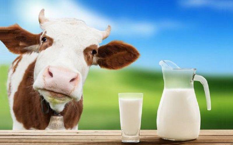 Nhiễu loạn thị trường sữa, đề xuất phân biệt rõ sữa tươi với sữa bột pha nước - Ảnh 1