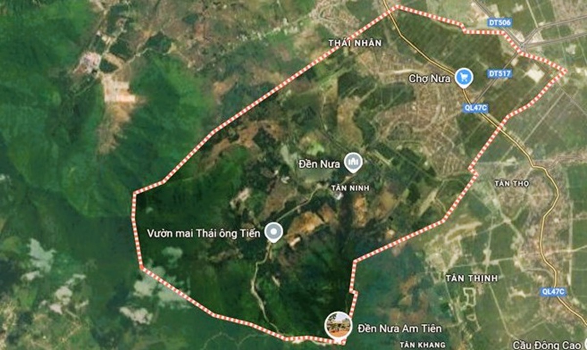 Chuyển đổi 44 ha rừng để thực hiện dự án tâm linh 35.000 tỉ đồng, có tượng Phật cao nhất thế giới - Ảnh 1