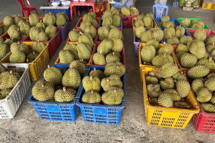 Sầu riêng rẻ chưa từng có được bán la liệt: Bài học tăng trưởng 'nóng' - Ảnh 2