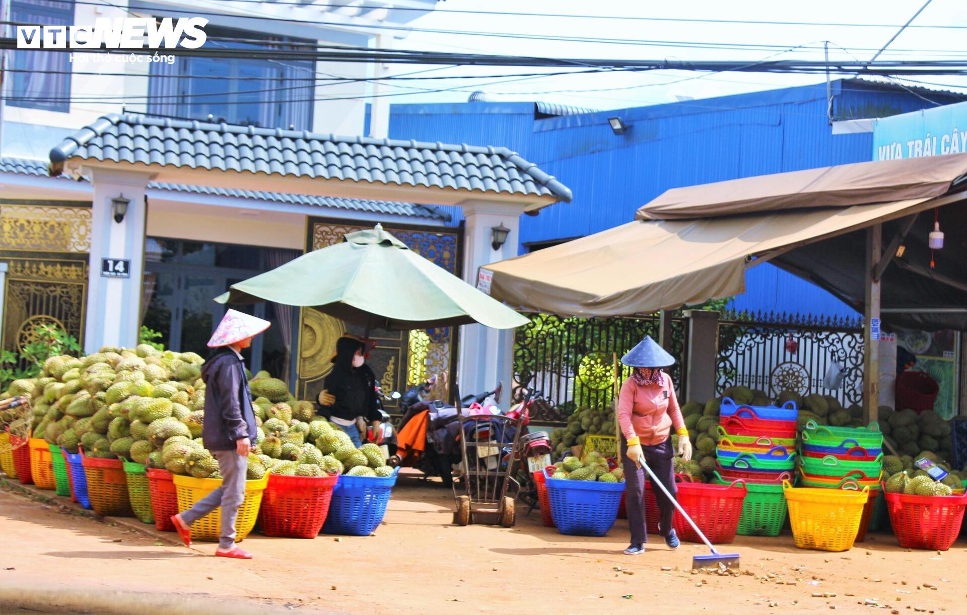 Sầu riêng sượng nước, nông dân Đắk Lắk bất lực nhìn giá rớt thảm - Ảnh 13