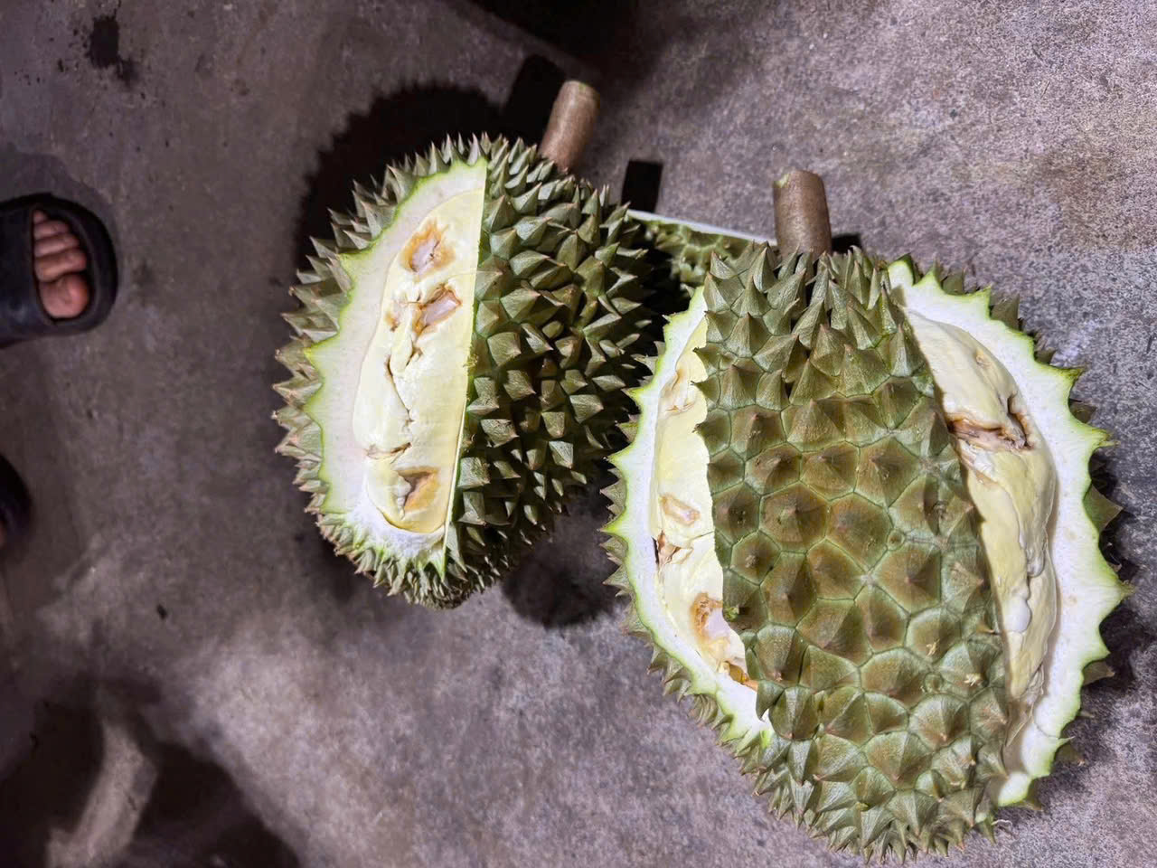 Sầu riêng sượng nước, nông dân Đắk Lắk bất lực nhìn giá rớt thảm - Ảnh 4