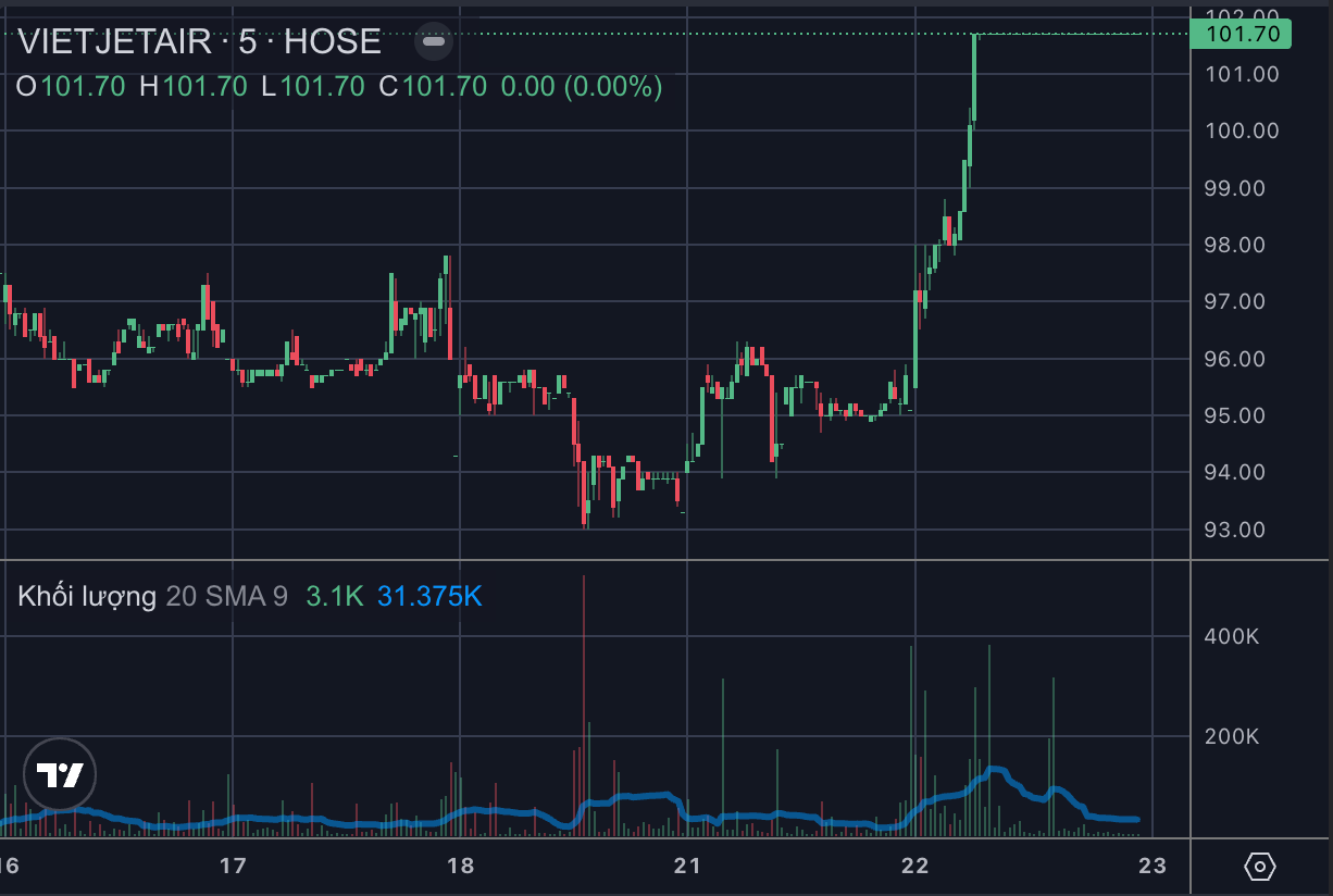 Bất ngờ cổ phiếu doanh nghiệp của nữ tỷ phú USD duy nhất Việt Nam - Ảnh 1