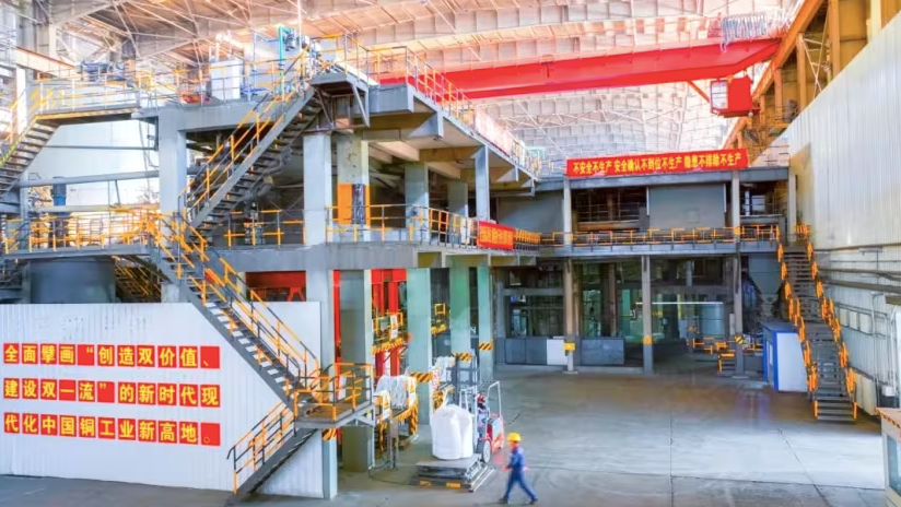 Dư luận Trung Quốc sôi sục vụ 6 sinh viên chết trong bể tuyển vàng - Ảnh 1