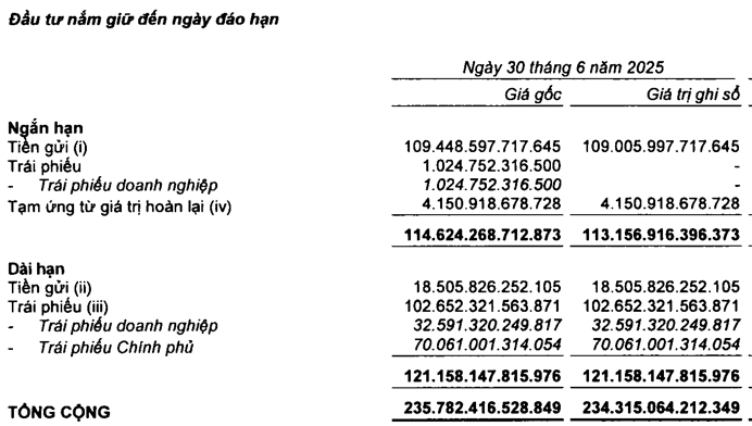 Một tập đoàn có hơn 127.000 tỷ gửi ngân hàng, hưởng lãi suất lên tới 9% và sở hữu lượng lớn cổ phiếu ACB, VietinBank, Vinamilk - Ảnh 1