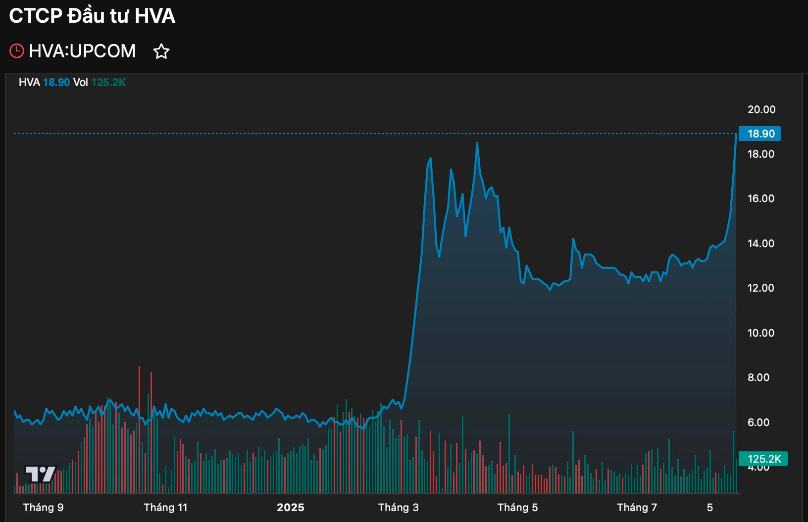 Một công ty trên sàn chứng khoán Việt Nam đem gần hết vốn gián tiếp rót vào tài sản số, cổ phiếu tăng “bốc đầu” gấp 3 lần từ đầu năm - Ảnh 1