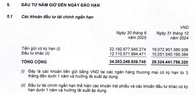 Thế Giới Di Động chi 200 tỷ mua trọn lô trái phiếu một công ty chứng khoán - Ảnh 2