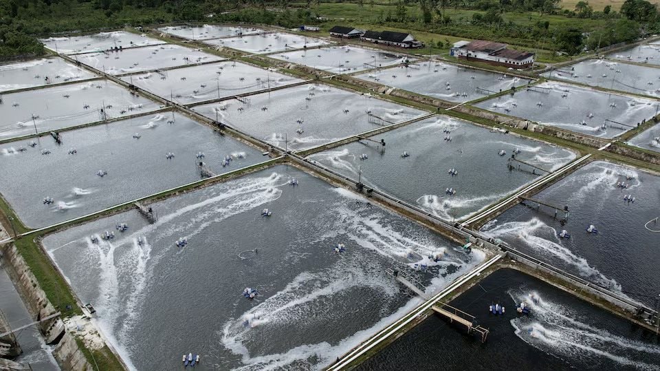 Cửa sang Mỹ hẹp dần, ngành công nghiệp tỷ USD của nền kinh tế gần 300 triệu dân vẫn lạc quan, hướng đến Trung Quốc với tham vọng chiếm lĩnh 1/5 thị phần - Ảnh 1