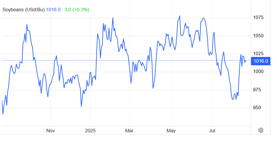 Nguy cơ ế hàng tỷ USD tiền hàng, nông dân Mỹ gửi 'tâm thư' lên Tổng thống Donald Trump, thúc giục làm ngay một điều với Trung Quốc - Ảnh 2
