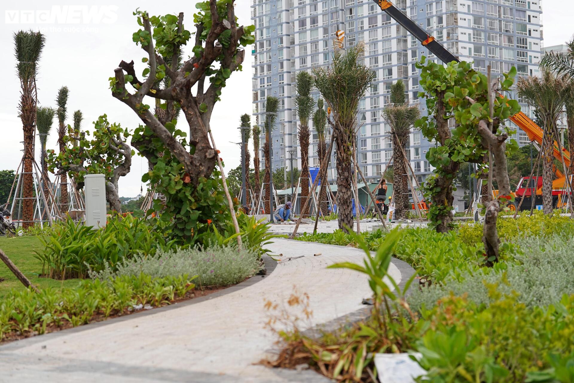 Tấp nập thi công bãi biển đẹp nhất Nam Bộ, sẵn sàng đón du khách dịp lễ 2/9 - Ảnh 8