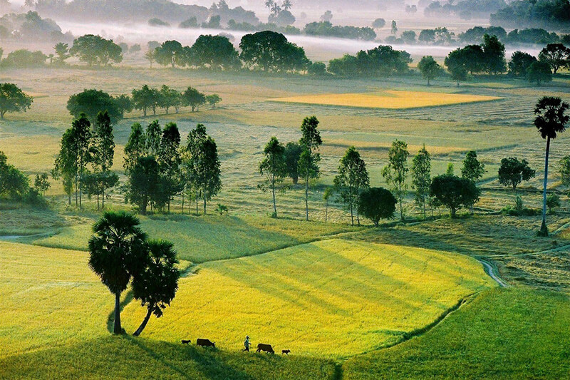 'Việt Nam mỗi năm thu 4,5 tỷ USD từ xuất khẩu gạo nhưng tiêu tốn 12 tỷ USD nhập khẩu thức ăn chăn nuôi' - Ảnh 2