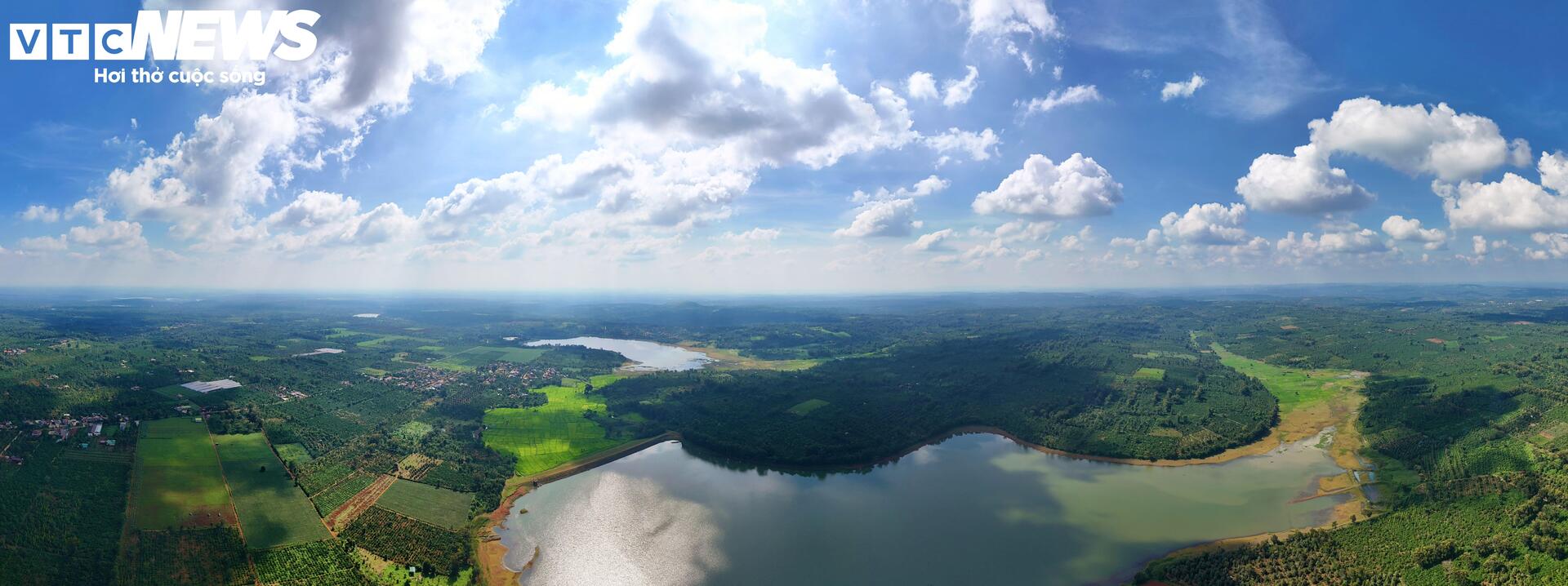 Sầu riêng sượng nước, nông dân Đắk Lắk bất lực nhìn giá rớt thảm - Ảnh 1