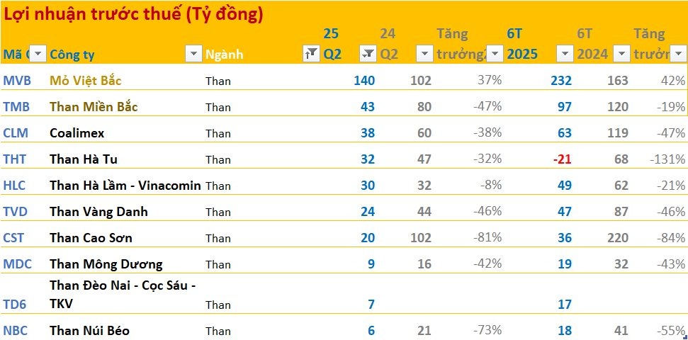 Toàn cảnh BCTC quý 2/2025: Ngân hàng áp đảo về lợi nhuận, ngành điện, cao su tăng trưởng cao, bất động sản phân hóa mạnh, Novaland lỗ lớn nhất quý - Ảnh 8