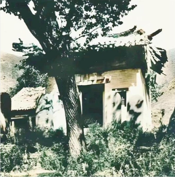 Ảnh hiếm 100 năm trước hé lộ 'hình dáng gốc' của Thiếu Lâm Tự: Sau biến cố bất ngờ đã hồi sinh từ tro tàn - Ảnh 3