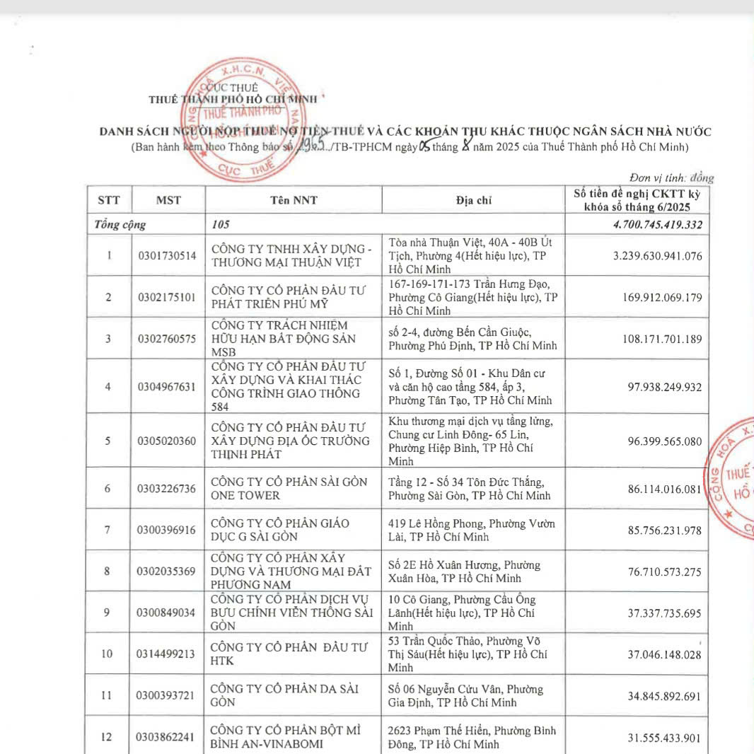 Một doanh nghiệp tại TP HCM nợ thuế đến hơn 3.200 tỉ đồng - Ảnh 1