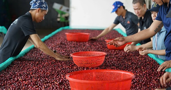 Xuất khẩu vào Mỹ bắt đầu khó, doanh nghiệp thận trọng từng đơn hàng