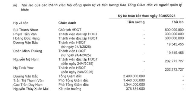 Thu nhập của sếp doanh nghiệp bất động sản trong nửa đầu năm 2025 như thế nào? - Ảnh 1