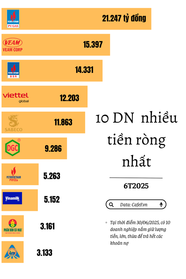 Những ‘đại gia’ đem tiền mặt đi trả hết nợ vẫn còn hơn chục nghìn tỷ - Ảnh 1