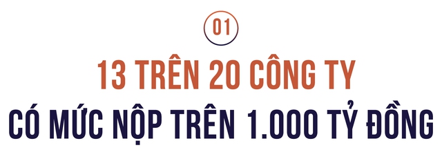 Công bố Top 20 công ty bất động sản tư nhân nộp ngân sách lớn nhất Việt Nam - Ảnh 1