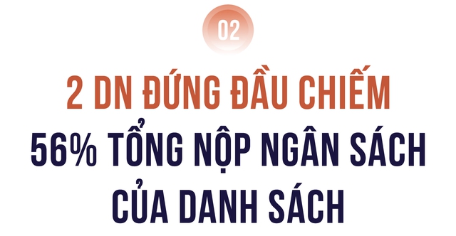 Công bố 10 Công ty tư nhân Thực phẩm - Đồ uống nộp ngân sách lớn nhất Việt Nam - Ảnh 3