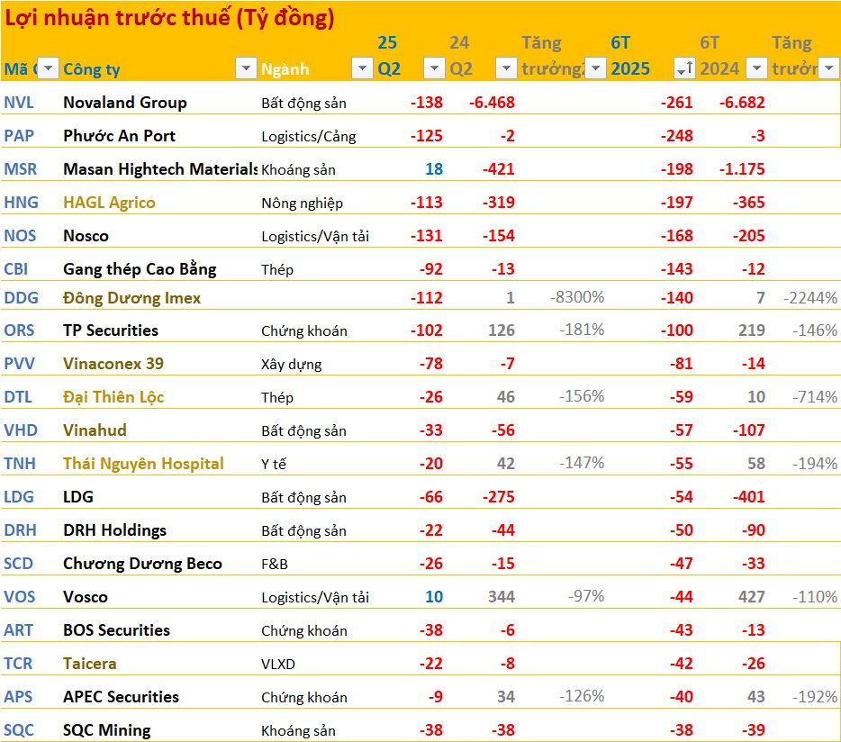 20 doanh nghiệp lỗ lớn nhất 6T2025: Novaland 'vô địch', bất động sản áp đảo, 8 doanh nghiệp lỗ trăm tỷ - Ảnh 3