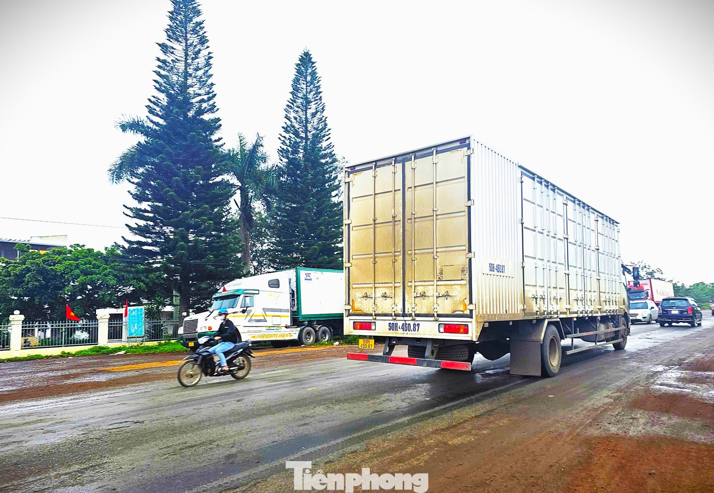 Xe container rồng rắn đi thu mua sầu riêng - Ảnh 8