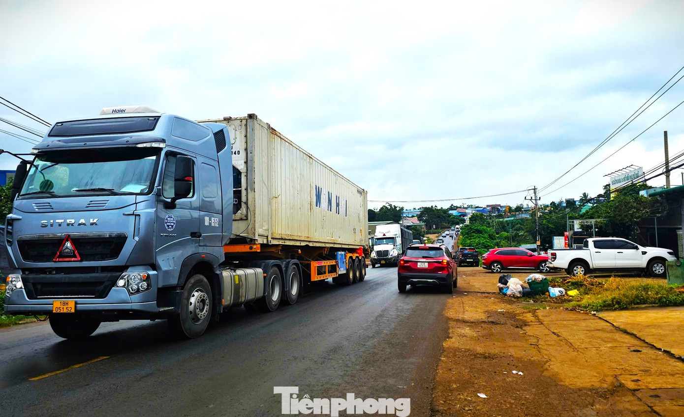 Xe container rồng rắn đi thu mua sầu riêng - Ảnh 3