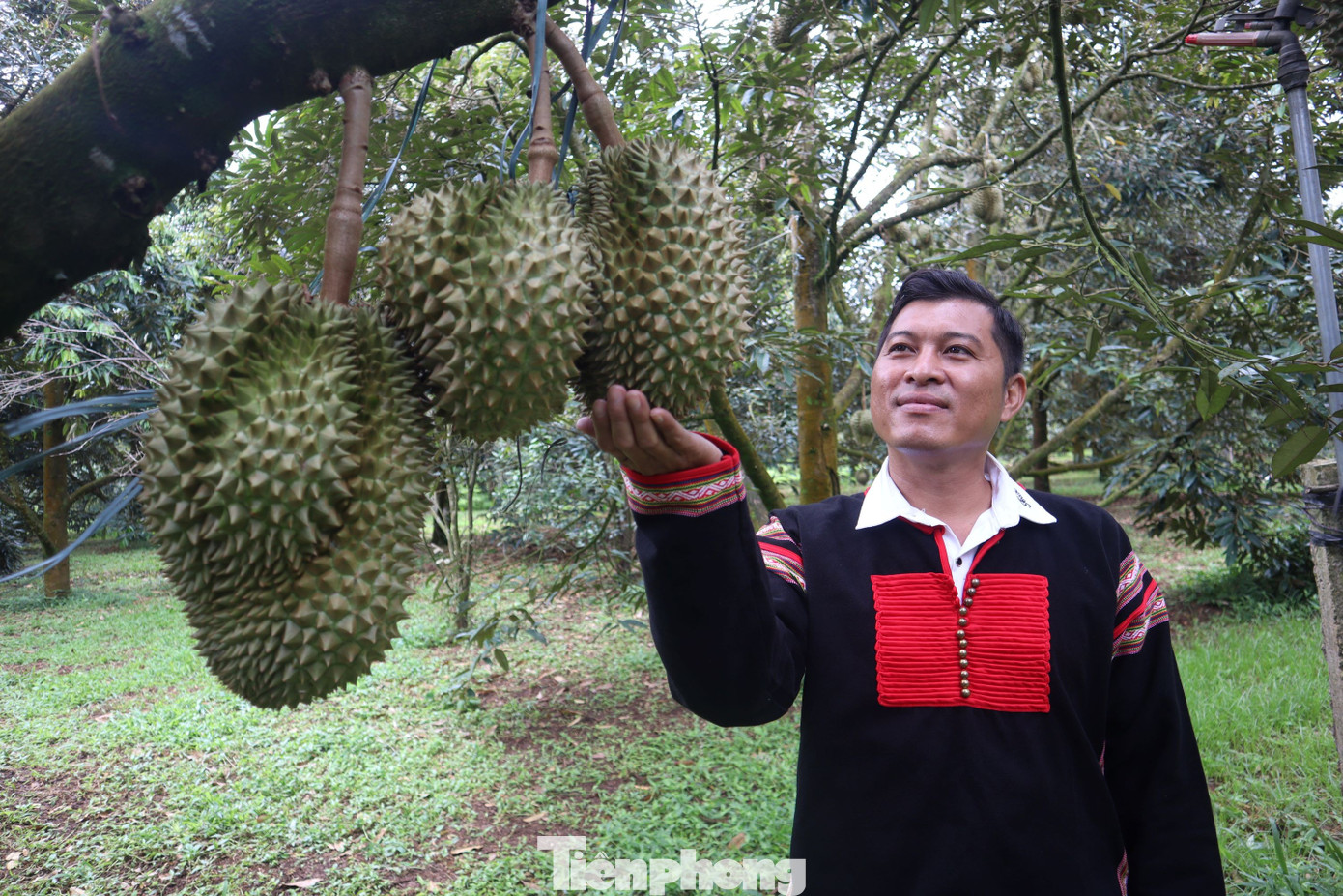 Phiên livestream sầu riêng có gì mà khách đổ xô mua hơn 60 tấn? - Ảnh 11