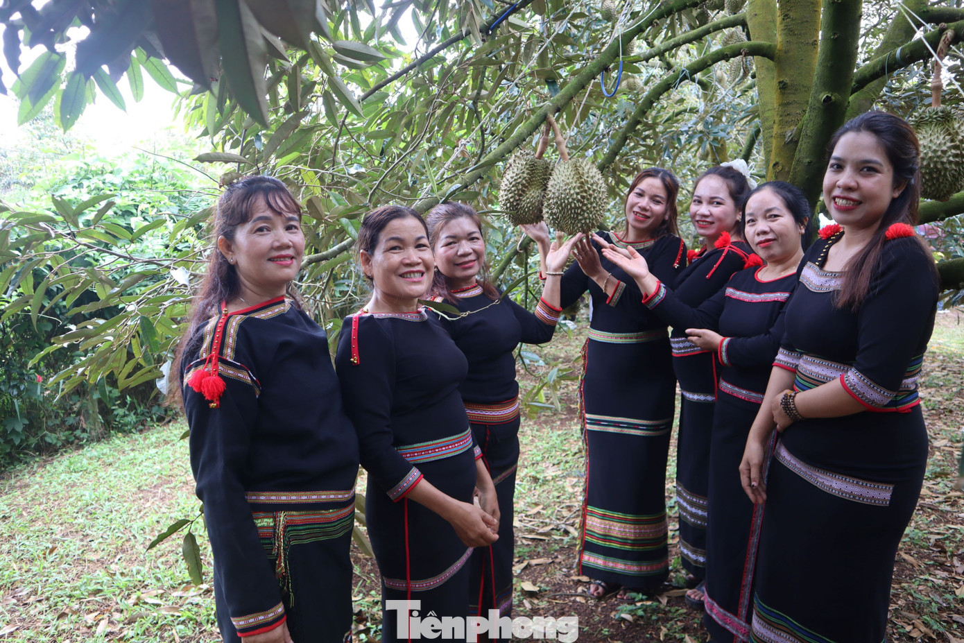 Phiên livestream sầu riêng có gì mà khách đổ xô mua hơn 60 tấn? - Ảnh 7