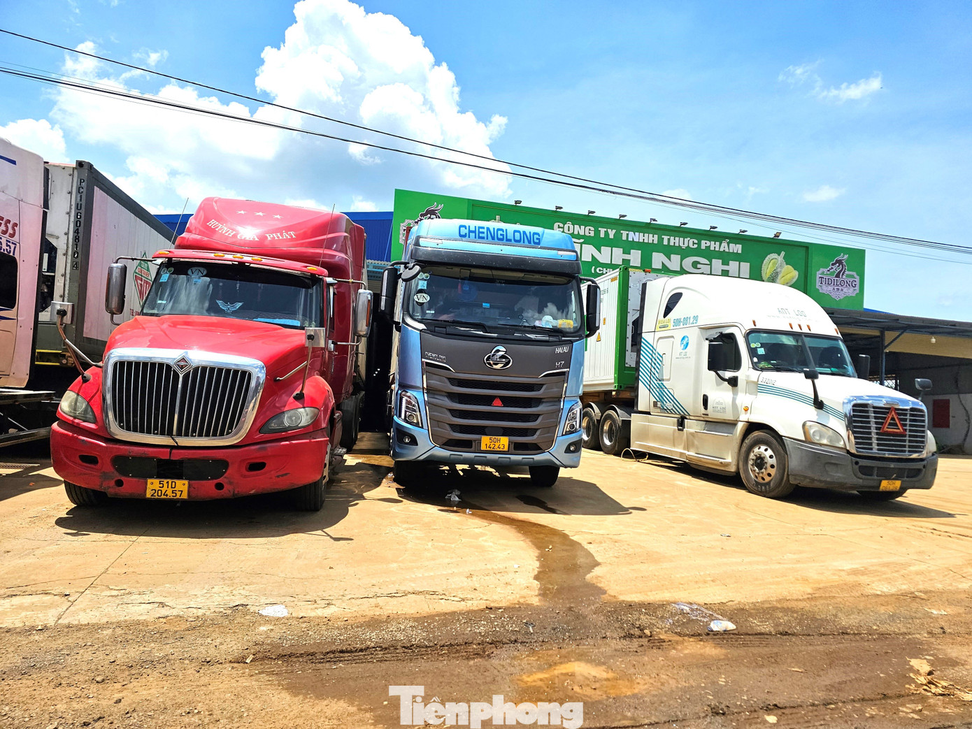 Xe container rồng rắn đi thu mua sầu riêng - Ảnh 9