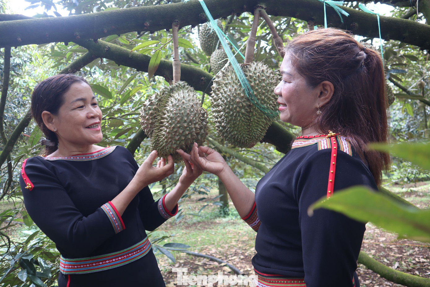 Phiên livestream sầu riêng có gì mà khách đổ xô mua hơn 60 tấn? - Ảnh 6