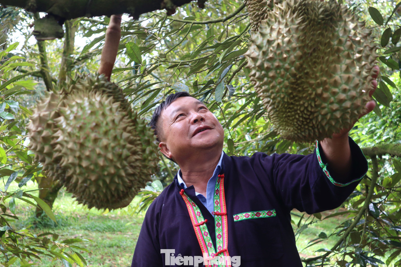 Phiên livestream sầu riêng có gì mà khách đổ xô mua hơn 60 tấn? - Ảnh 9