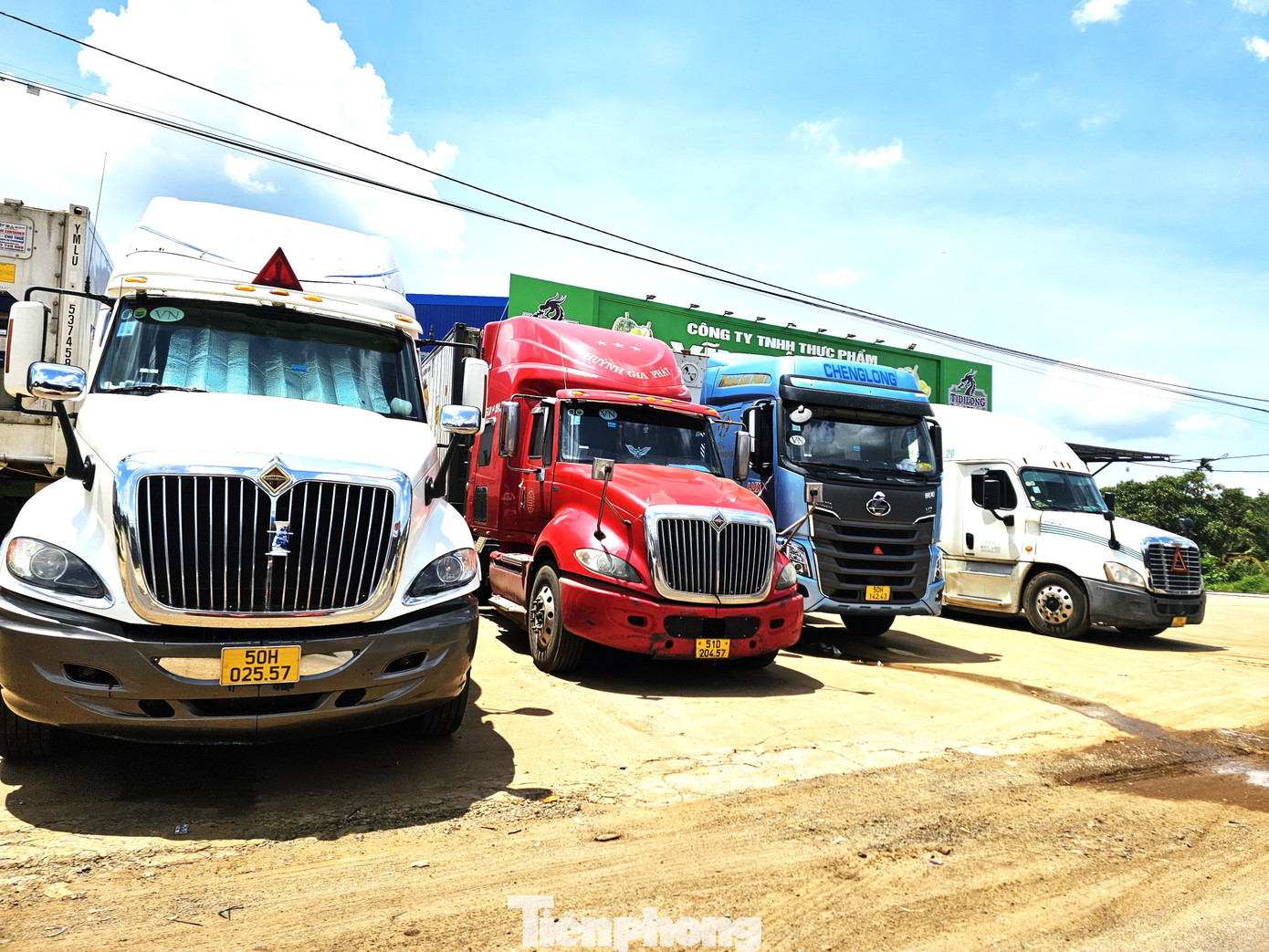 Xe container rồng rắn đi thu mua sầu riêng - Ảnh 10