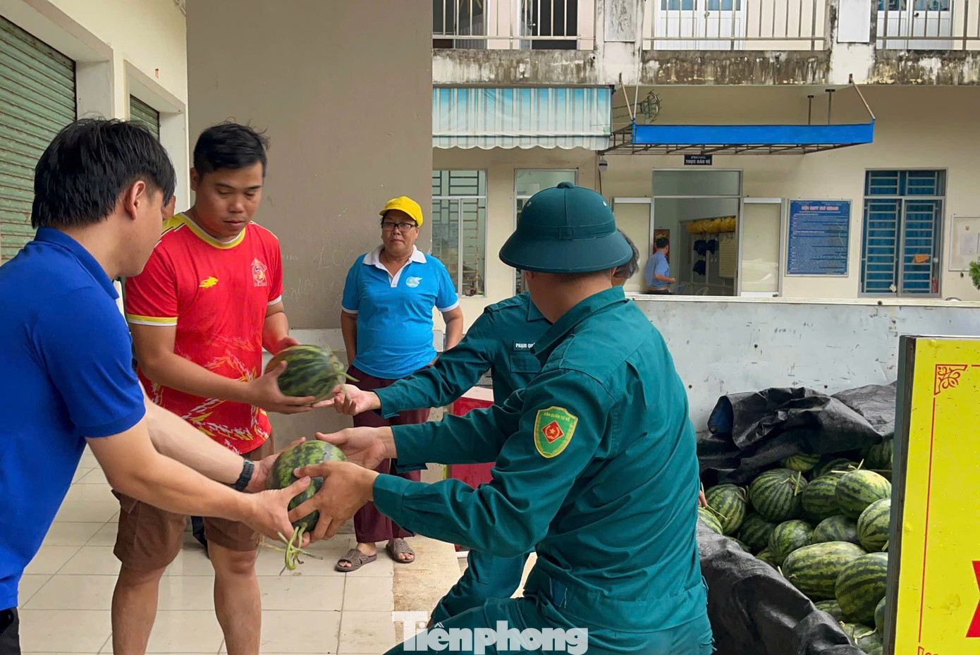 Bão số 5 áp sát, cả phường ngược xuôi giải cứu dưa hấu - Ảnh 6